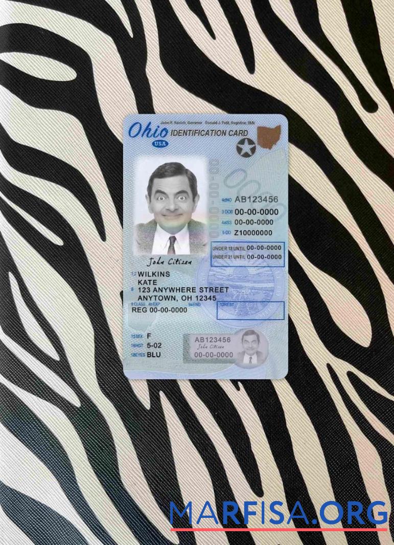 Blank USA Ohio driving license under 21 photolook real example